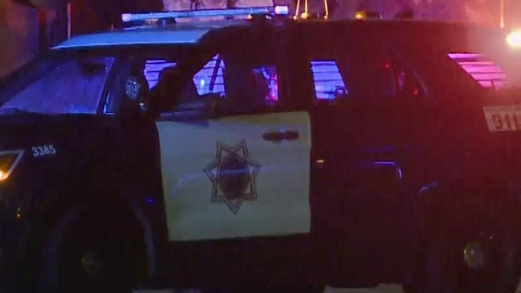 San Jose teens involved in traffic stop that preceded police shooting, attempted carjacking — CBS Bay Area (KPIX), Savage Schools news