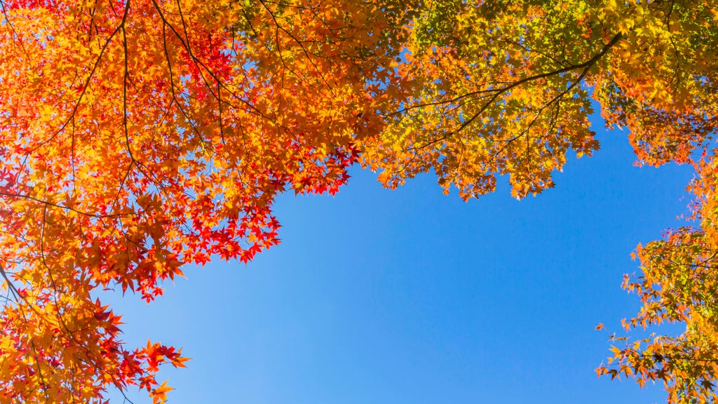 More near-record warmth Monday in Minnesota ahead of big cooldown — WCCO / CBS Minnesota, Savage Community news