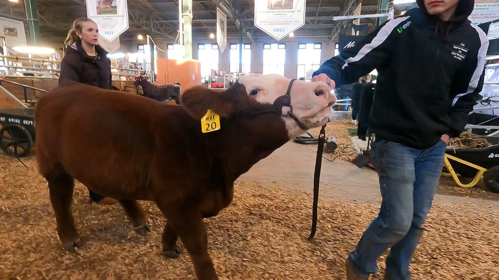Spotlight on beef as Minnesota midterms near — WCCO / CBS Minnesota, Savage Community news