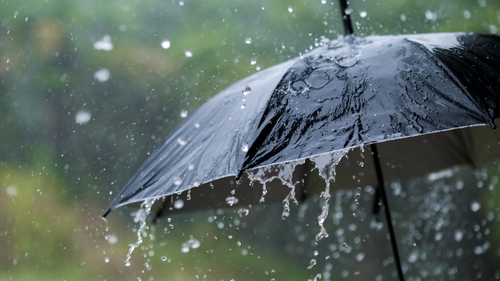 Widespread rain in Minnesota Monday; milder air returns Tuesday — WCCO / CBS Minnesota, Savage Community news