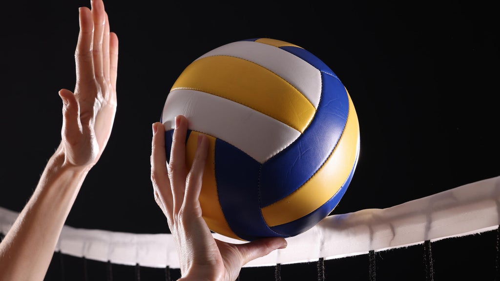 SeatGeek's first volleyball partner is the Minnesota Forge in a multiyear deal — WCCO / CBS Minnesota, Savage Business news