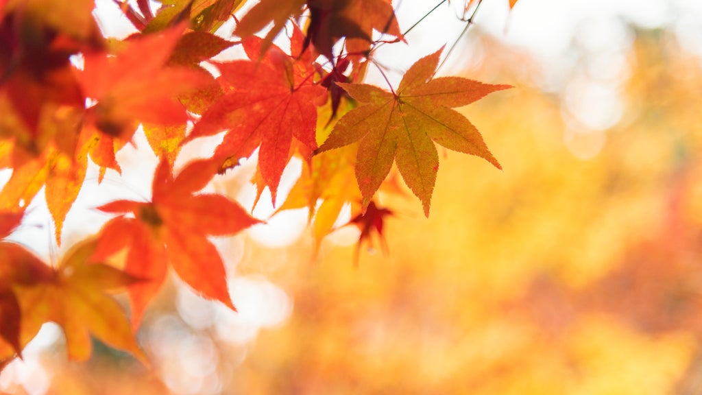 More sunny, mild late October weather in Minnesota Tuesday — WCCO / CBS Minnesota, Savage Business news