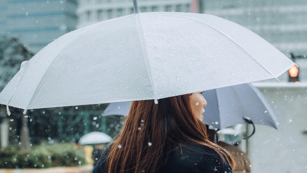 Soggy, chilly Thursday in the Twin Cities; season's first frost possible Saturday — WCCO / CBS Minnesota, Savage Sports news