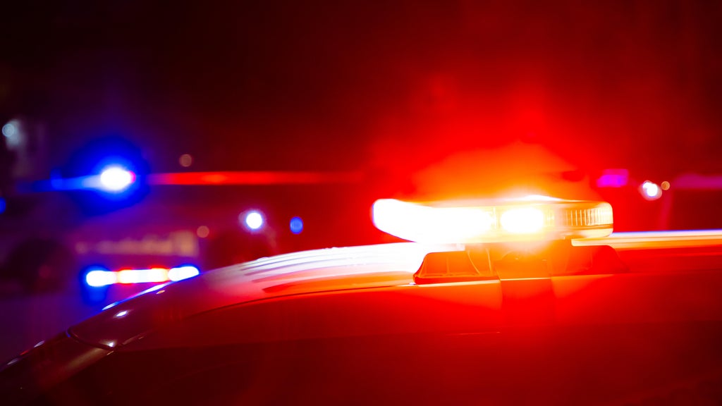 Driver killed in head-on collision with semi in central Minnesota — Savage Community news