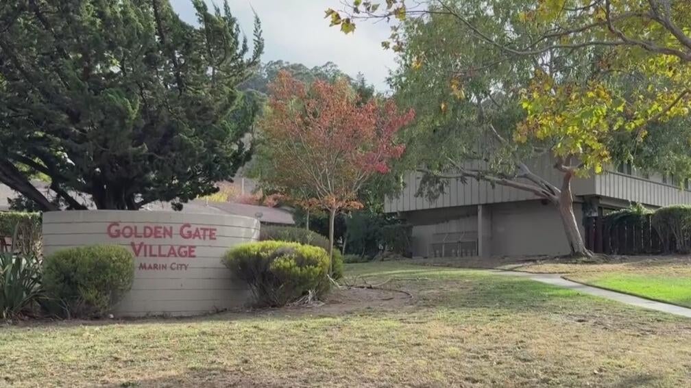 Marin City families receive $725,000 in rent relief as their aging apartment complex is renovated — CBS Bay Area (KPIX), Savage Business news