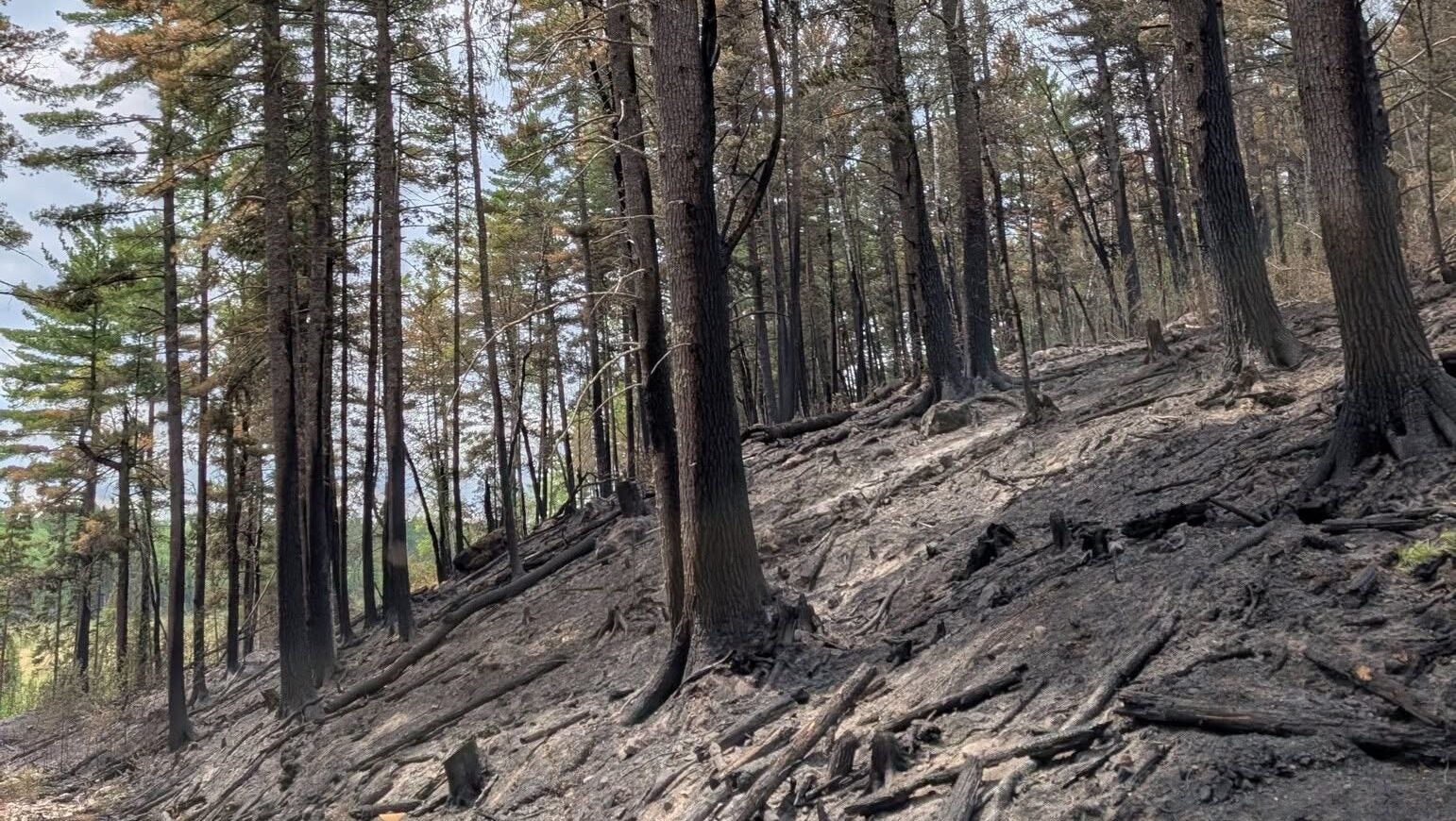 74-year-old who became separated from his family on a trail in Ely was discovered dead — KSTP 5, Savage Community news