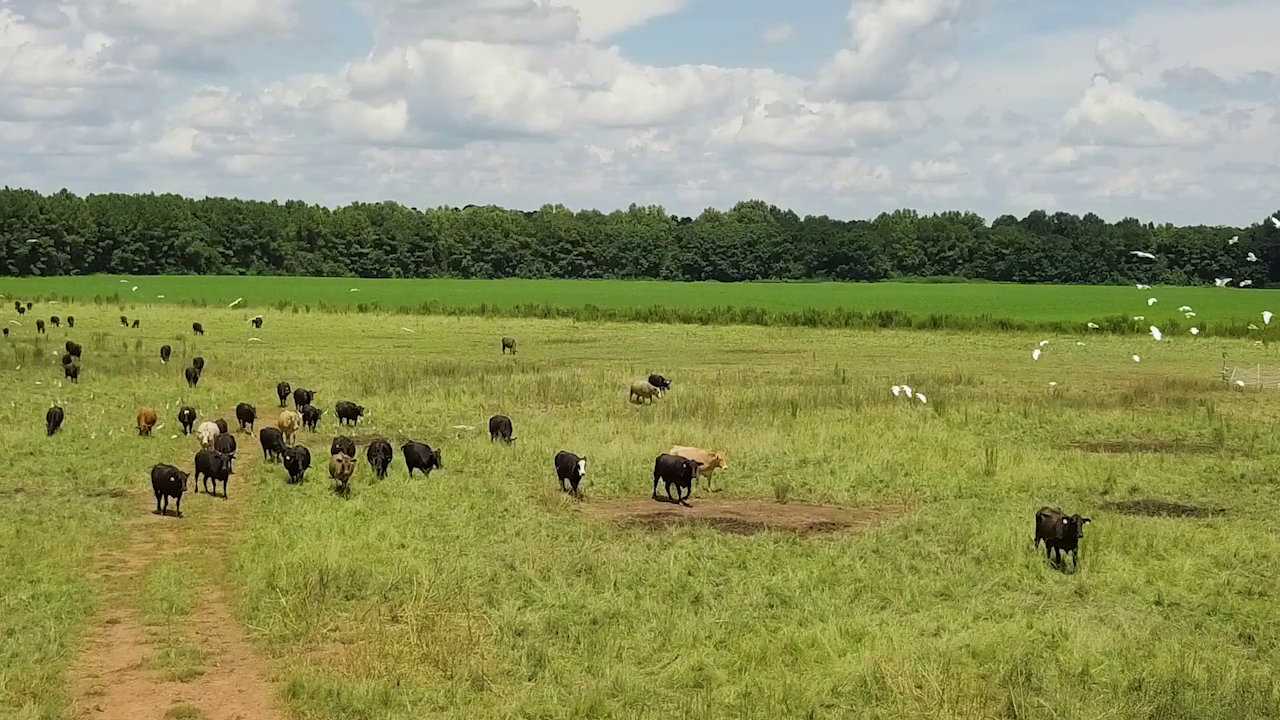 5 ON YOUR SIDE: Regenerative agriculture — Savage Health news