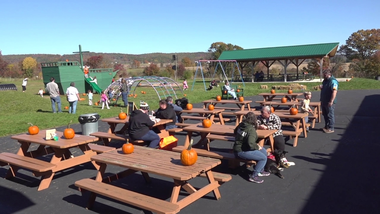 Outdoor festival in Columbia County brings together artists and businesses to connect with the community — WNEP 16 (Scranton/Wilkes-Barre), Savage Arts news