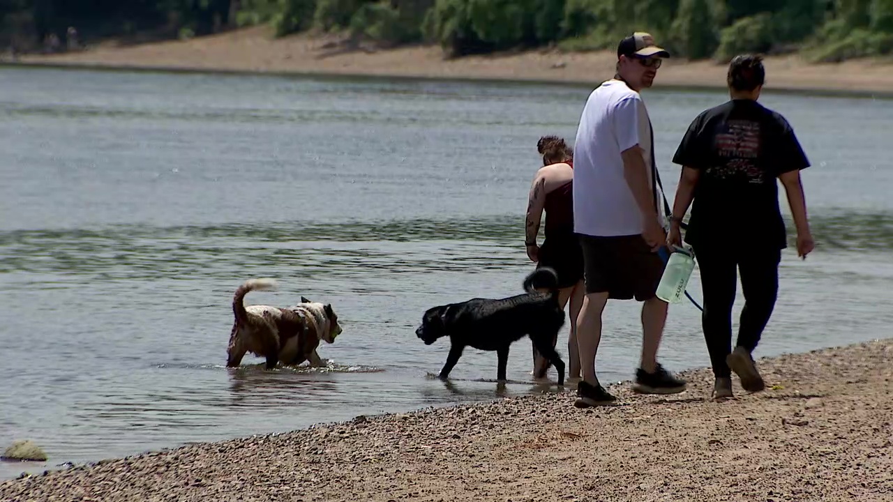 Minnehaha Dog Park ending off-leash use in December despite public outcry — FOX 9