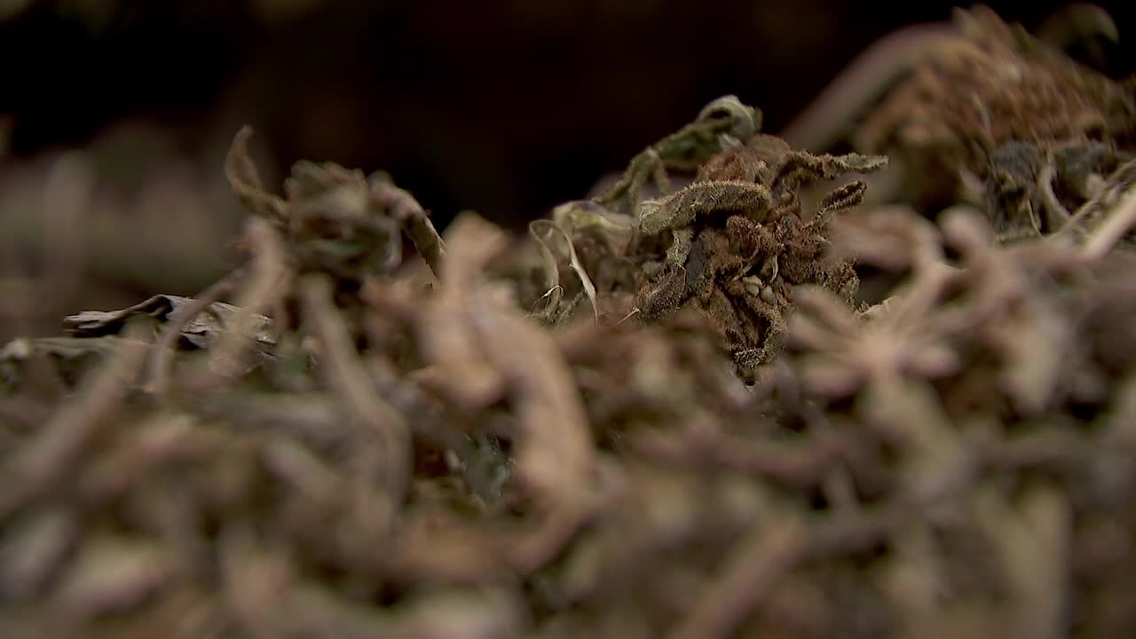 Hemp THC deadline hits $200 million industry, leads to layoffs, but liquor stores may maintain — FOX 9, Savage Business news