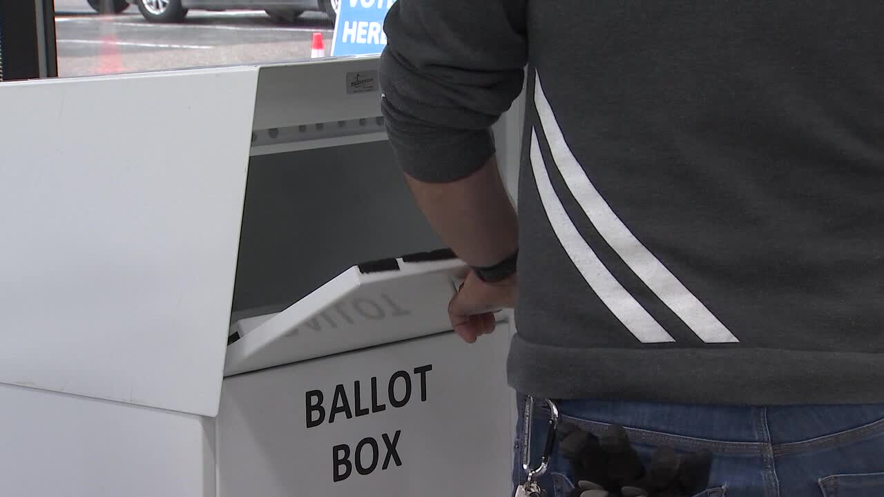 Minnesota election 2026: How to vote and what’s on your ballot — FOX 9, Savage Community news