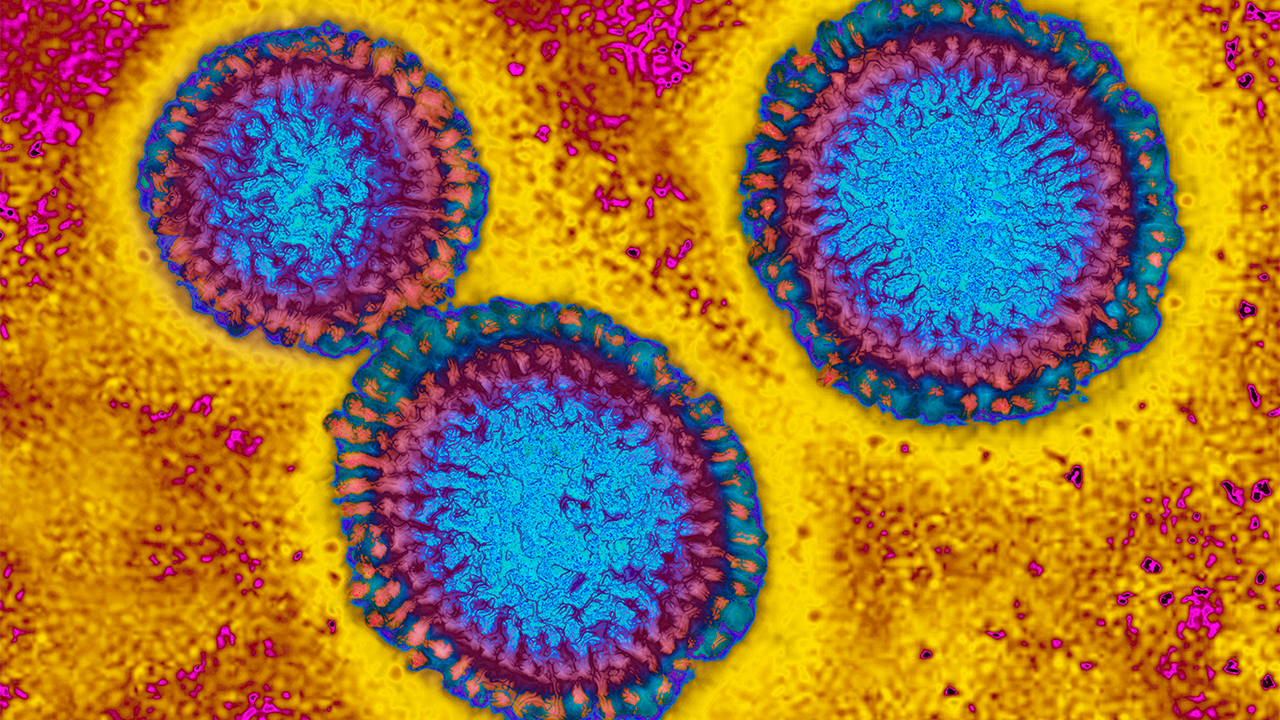 Flu hospitalizations 'slightly higher' than usual, officials urge vaccinations — FOX 9, Savage Health news