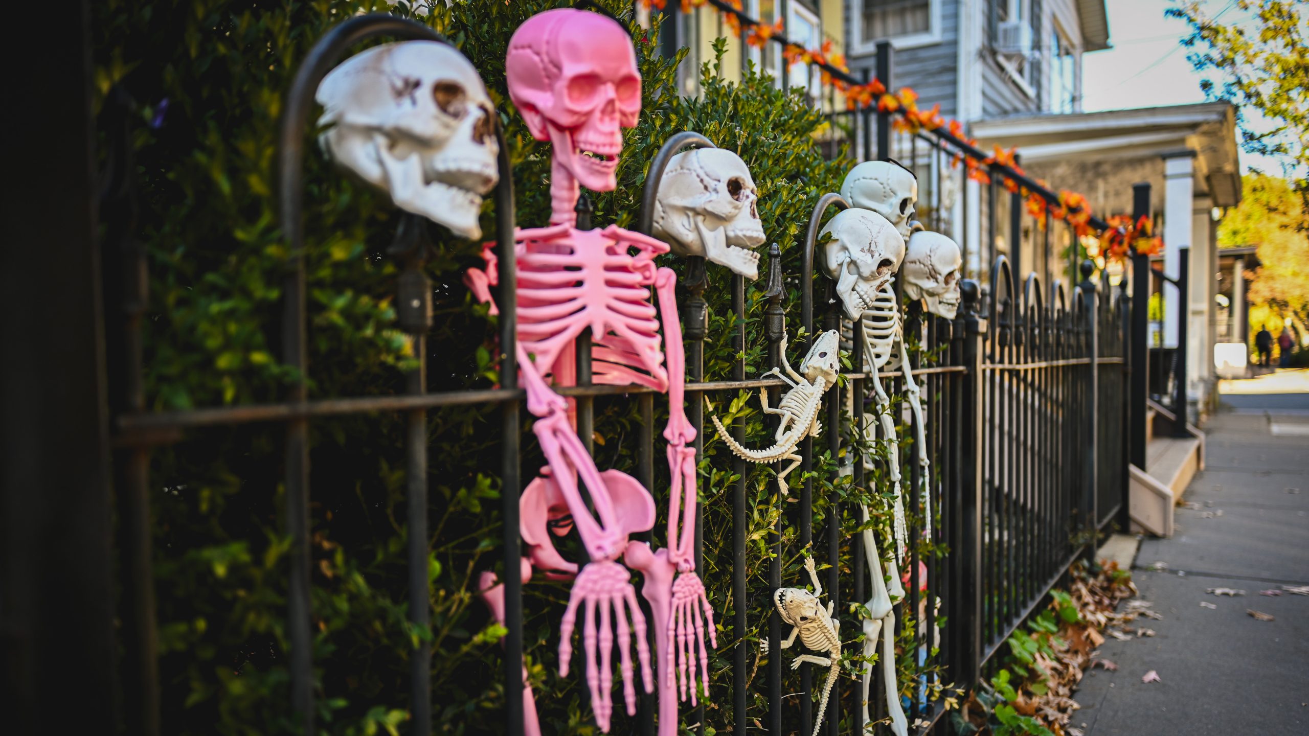 America's best cities for Halloween, ranked — FOX 9, Savage Community news